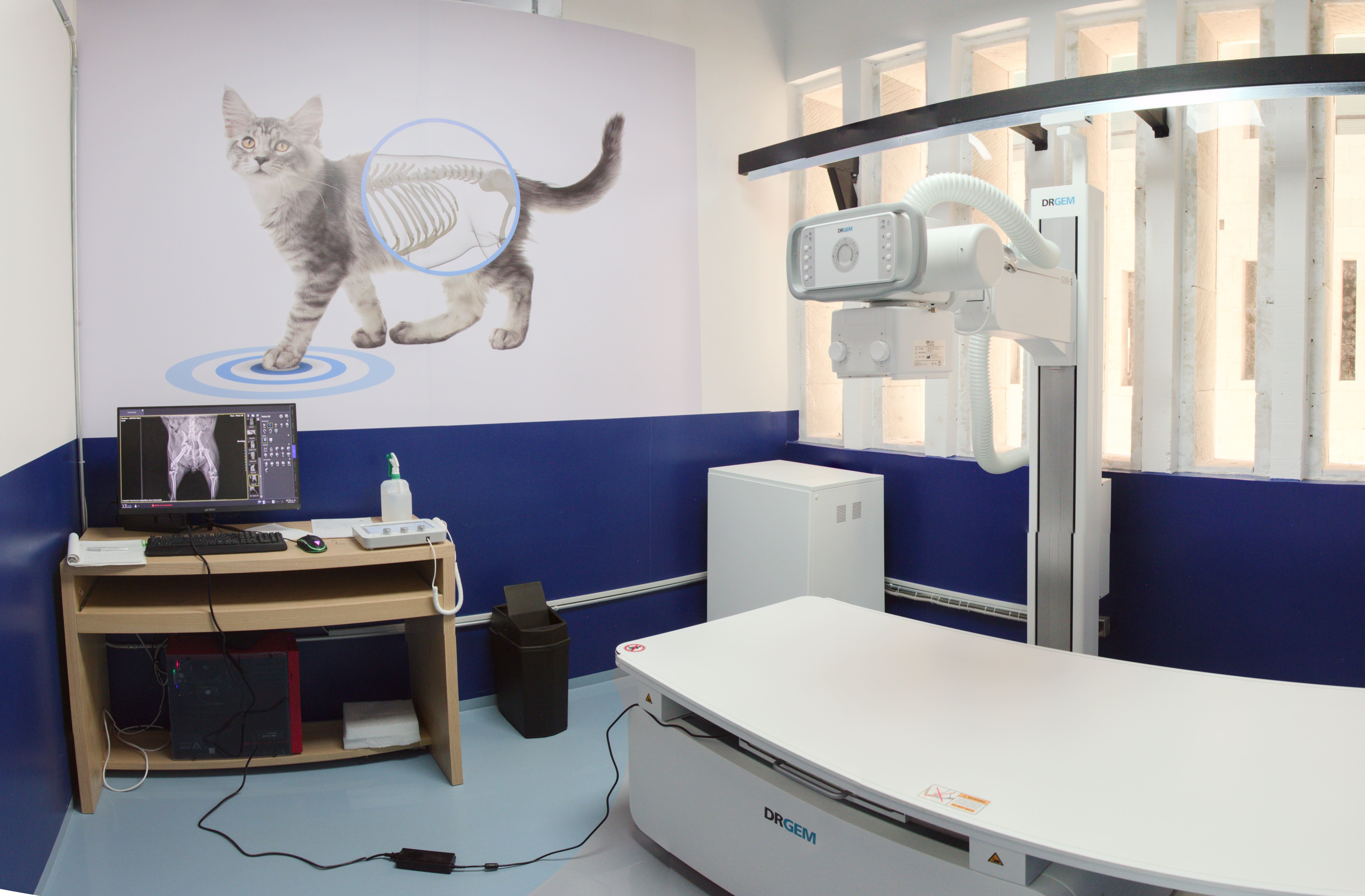 ...